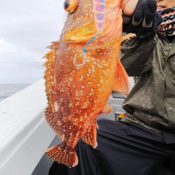 第二龍勢丸 釣果