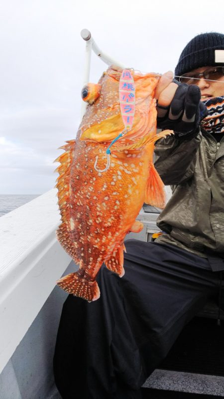 第二龍勢丸 釣果