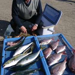 第三共栄丸 釣果