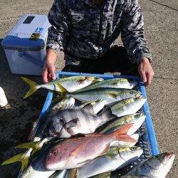 第三共栄丸 釣果