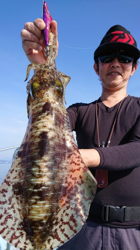 シースナイパー海龍 釣果