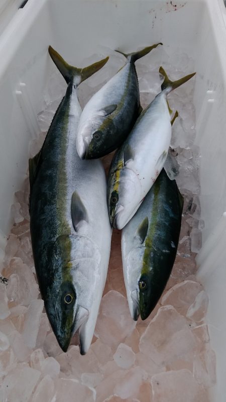 LUSTER『ラスター』 釣果