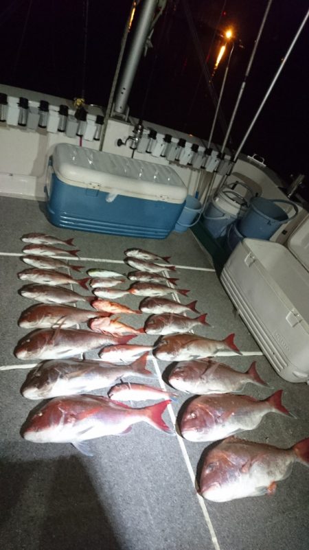 ARCADIAⅡ (アルカディアⅡ) 釣果