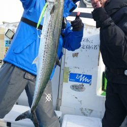 丸万釣船 釣果