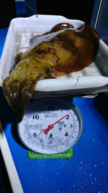 第三共栄丸 釣果