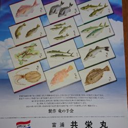 第三共栄丸 釣果