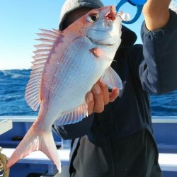 新幸丸 釣果