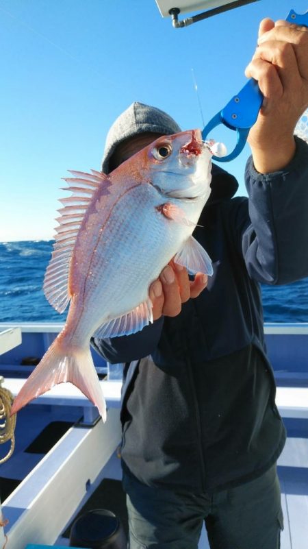 新幸丸 釣果