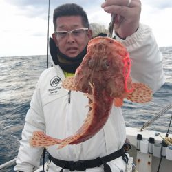 ARCADIAⅡ (アルカディアⅡ) 釣果