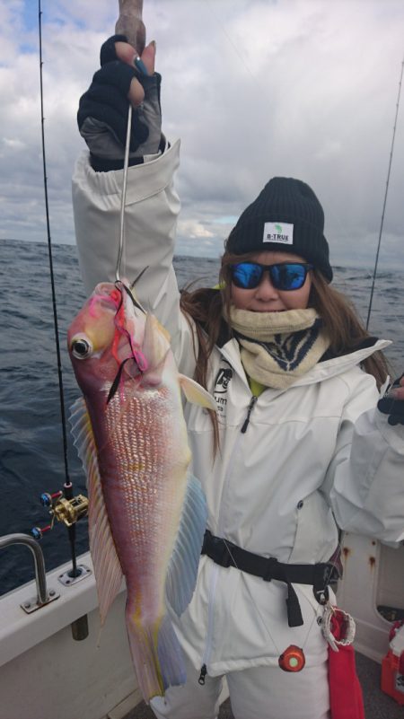 ARCADIAⅡ (アルカディアⅡ) 釣果