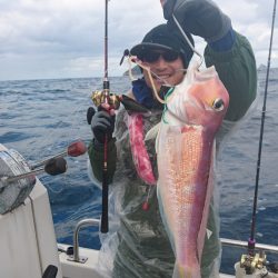 ARCADIAⅡ (アルカディアⅡ) 釣果