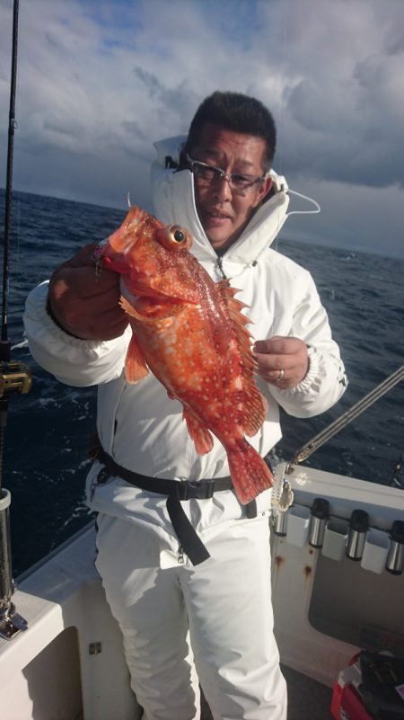 ARCADIAⅡ (アルカディアⅡ) 釣果