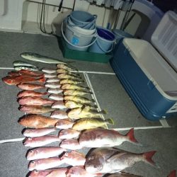 ARCADIAⅡ (アルカディアⅡ) 釣果