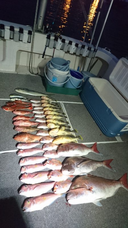 ARCADIAⅡ (アルカディアⅡ) 釣果