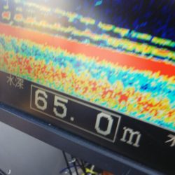 タイラバ遊漁船 ワンピース 釣果