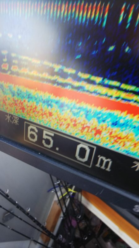 タイラバ遊漁船 ワンピース 釣果