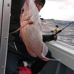 だて丸 釣果