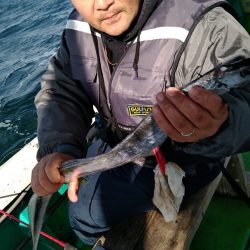 小島丸 釣果