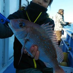 新幸丸 釣果