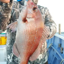 新幸丸 釣果