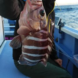 新幸丸 釣果