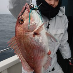 ARCADIAⅡ (アルカディアⅡ) 釣果