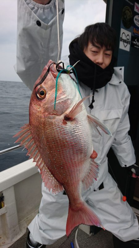 ARCADIAⅡ (アルカディアⅡ) 釣果