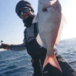 だて丸 釣果