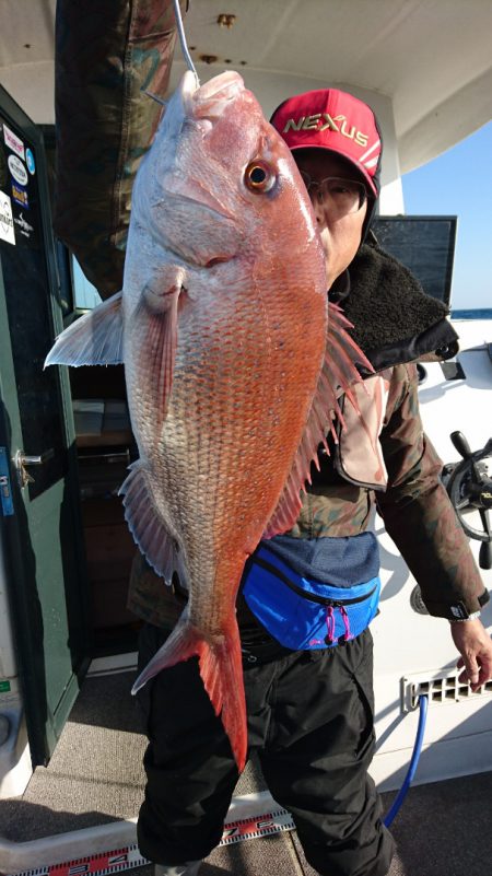 ARCADIAⅡ (アルカディアⅡ) 釣果