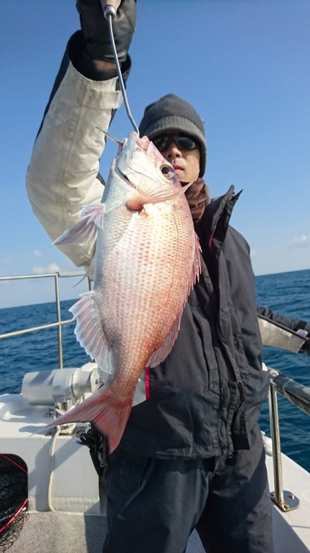 ARCADIAⅡ (アルカディアⅡ) 釣果