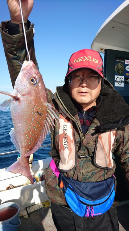 ARCADIAⅡ (アルカディアⅡ) 釣果