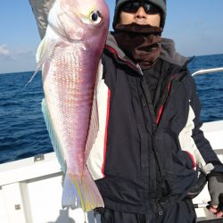 ARCADIAⅡ (アルカディアⅡ) 釣果