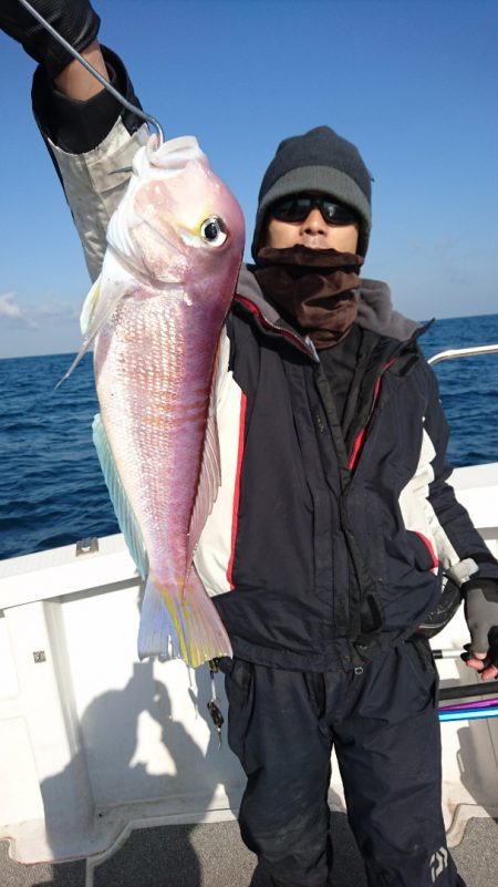 ARCADIAⅡ (アルカディアⅡ) 釣果