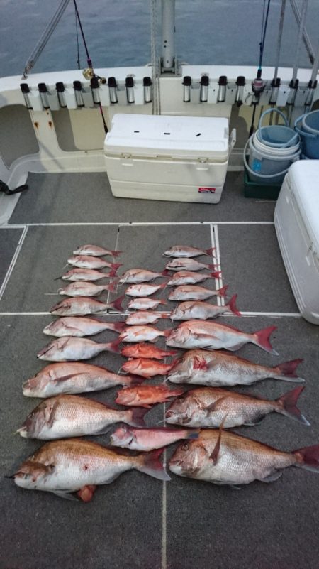 ARCADIAⅡ （アルカディアⅡ） 釣果…