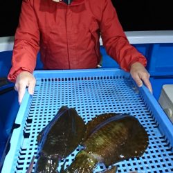 第三共栄丸 釣果