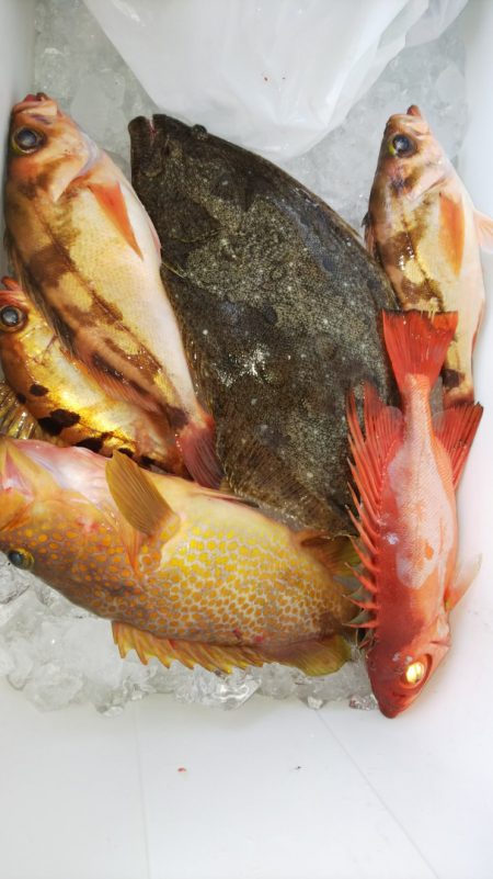 第二龍勢丸 釣果