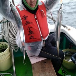 小島丸 釣果