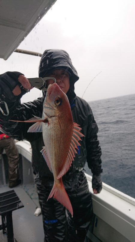 だて丸 釣果