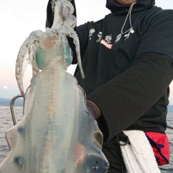 シースナイパー海龍 釣果