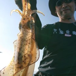 シースナイパー海龍 釣果