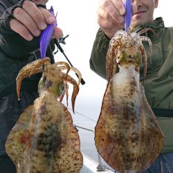 シースナイパー海龍 釣果