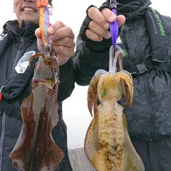 シースナイパー海龍 釣果