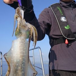 シースナイパー海龍 釣果