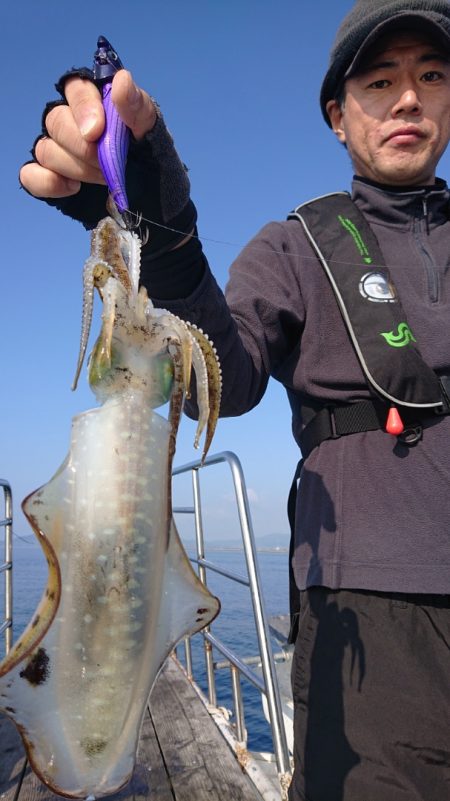 シースナイパー海龍 釣果
