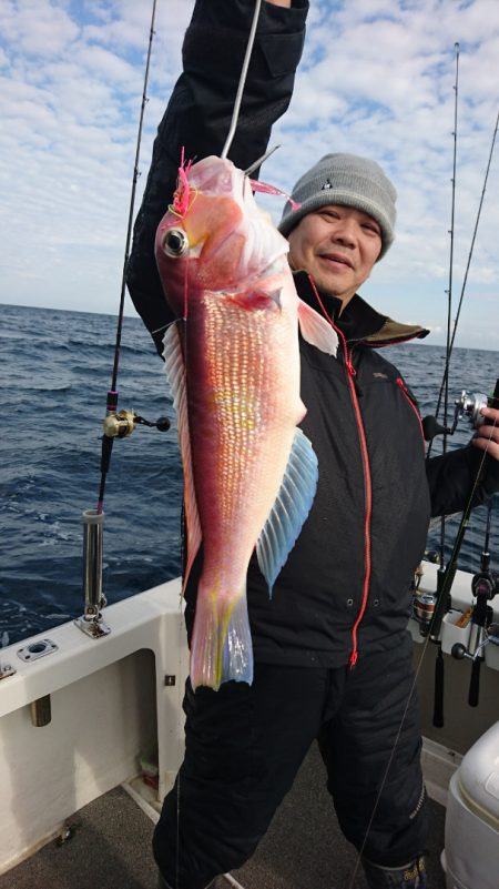 ARCADIAⅡ (アルカディアⅡ) 釣果