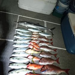 ARCADIAⅡ (アルカディアⅡ) 釣果