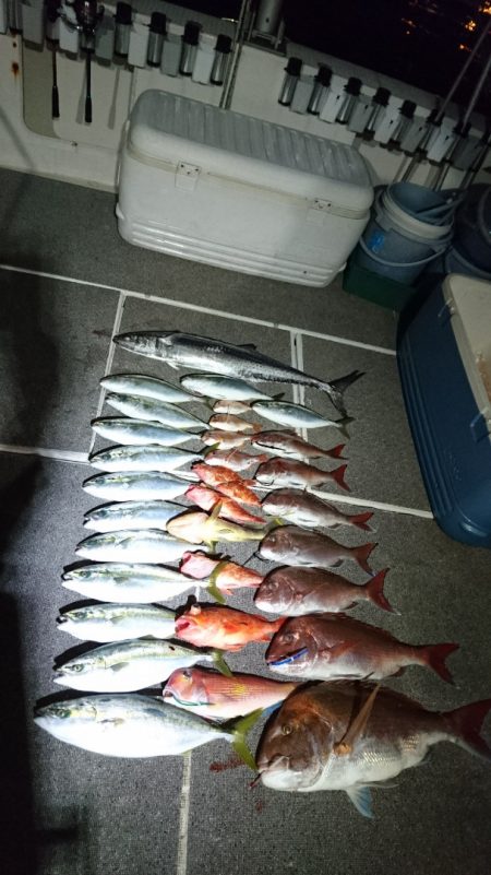 ARCADIAⅡ (アルカディアⅡ) 釣果