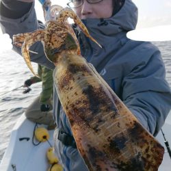 きずなまりん 釣果