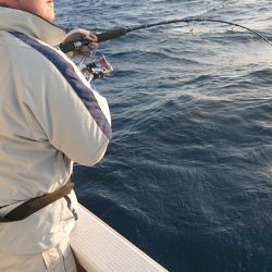 海皇丸 釣果
