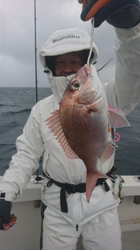 ARCADIAⅡ (アルカディアⅡ) 釣果